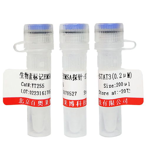 非臨床診斷用生物試劑采購指南 染色試劑價(jià)格與供應(yīng)商信息解析