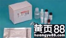 探索生命科學邊界 武漢市古泰生物技術有限責任公司主營試劑、抗體與耗材業務解析