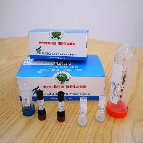 松江戰疫這十天 非臨床診斷用生物試劑背后的科技力量
